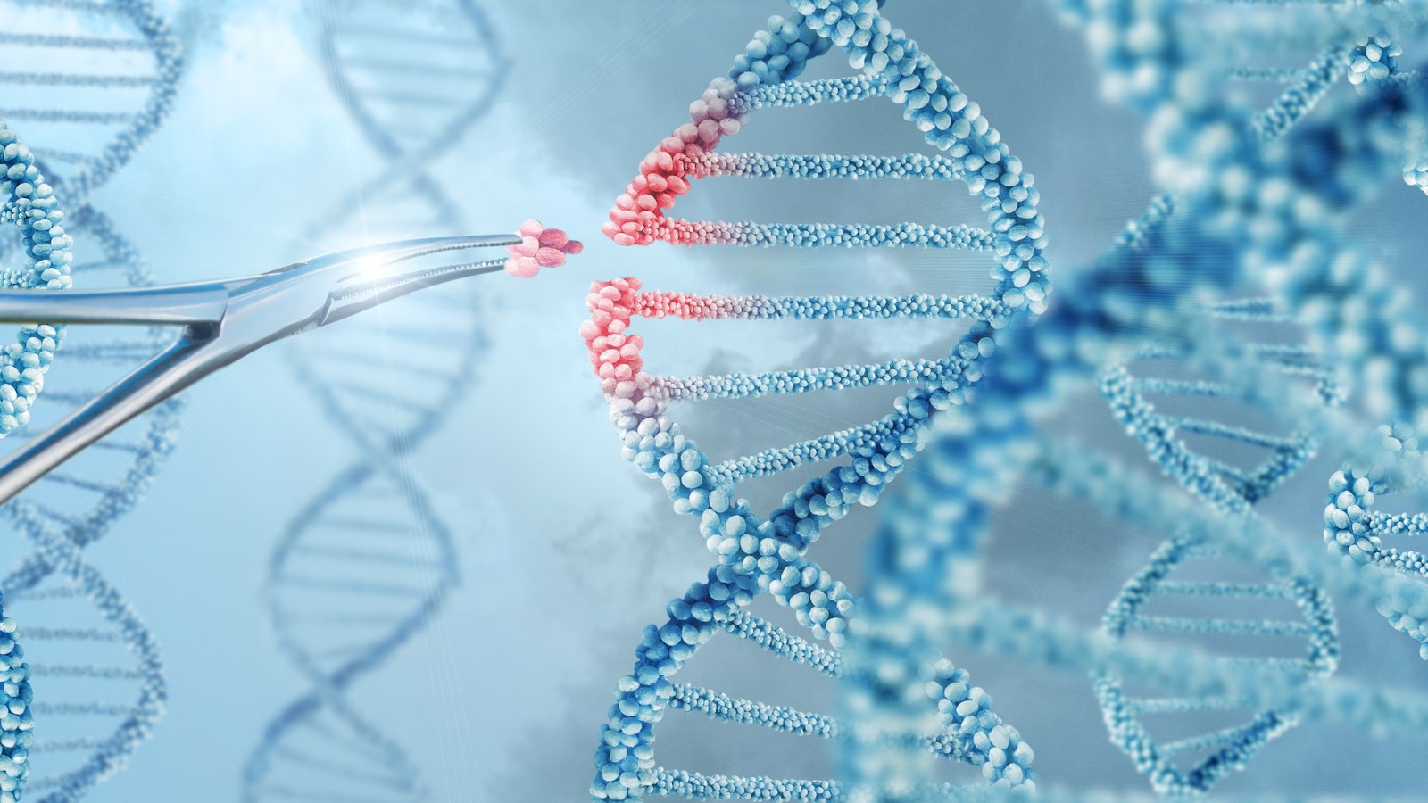 Cell and Gene Therapy